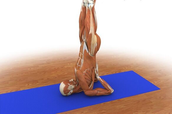 Cvičenie na potenciu „Birch“